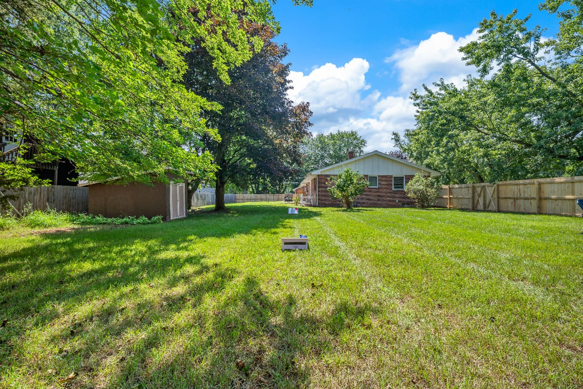 Backyard