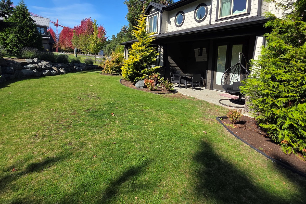 Beautiful Backyard. Green space.