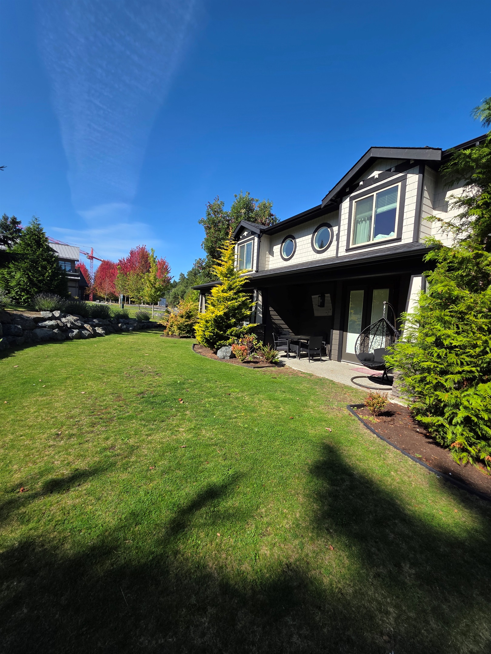 Beautiful Backyard. Green space.