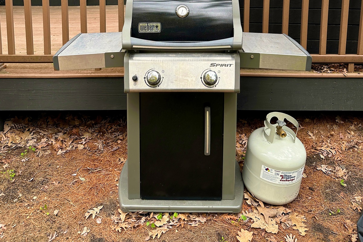Weber Gas Grill