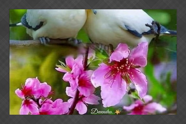 Don't wait, book today for the perfect couples' getaway!