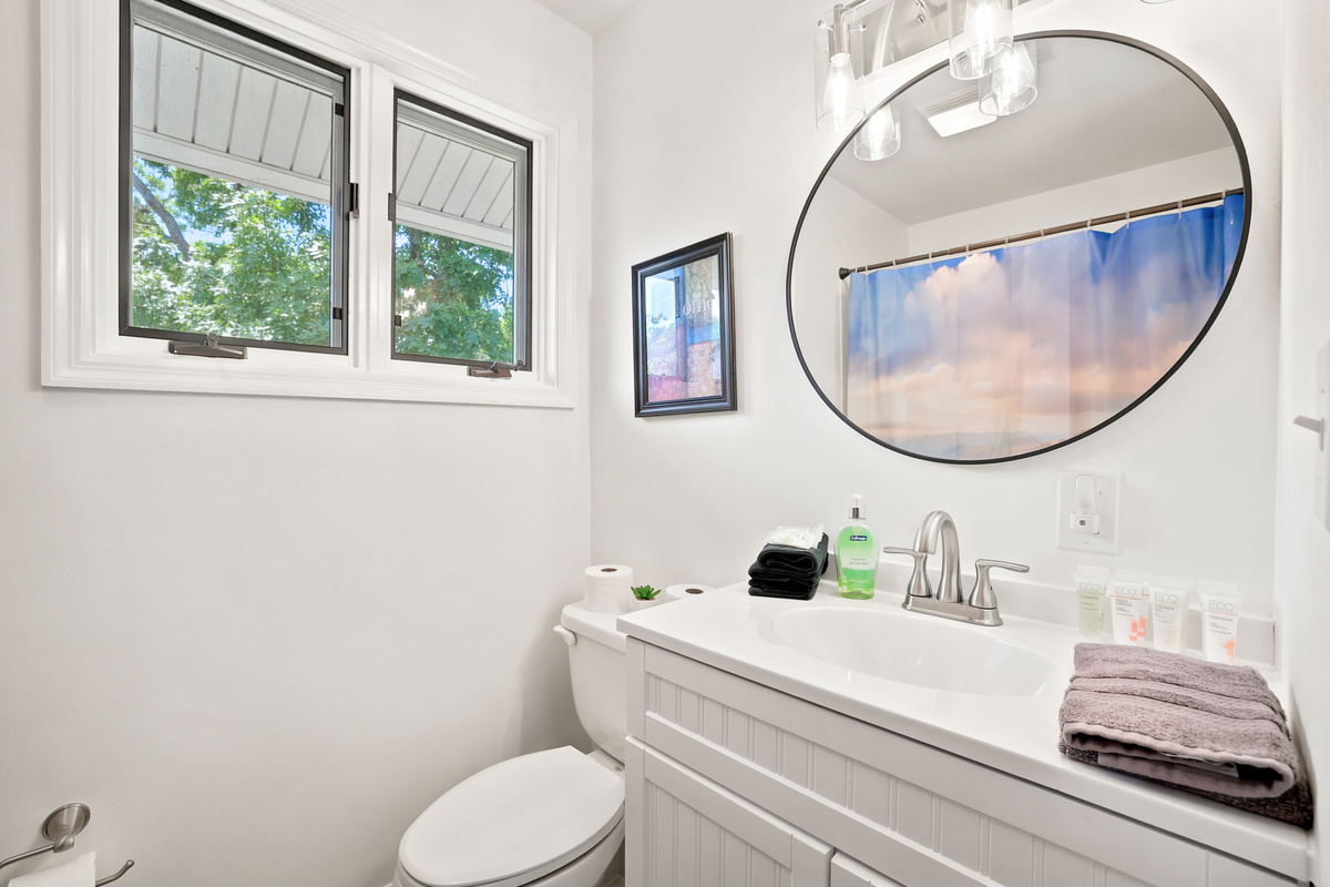 Lower Level Bathroom
