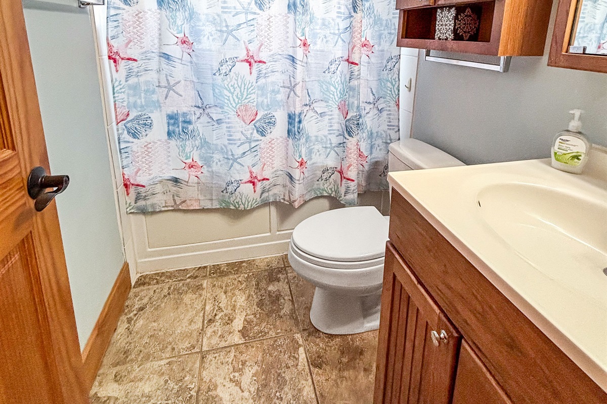 Bathroom is Side A has a jacuzzi tub/ shower combo