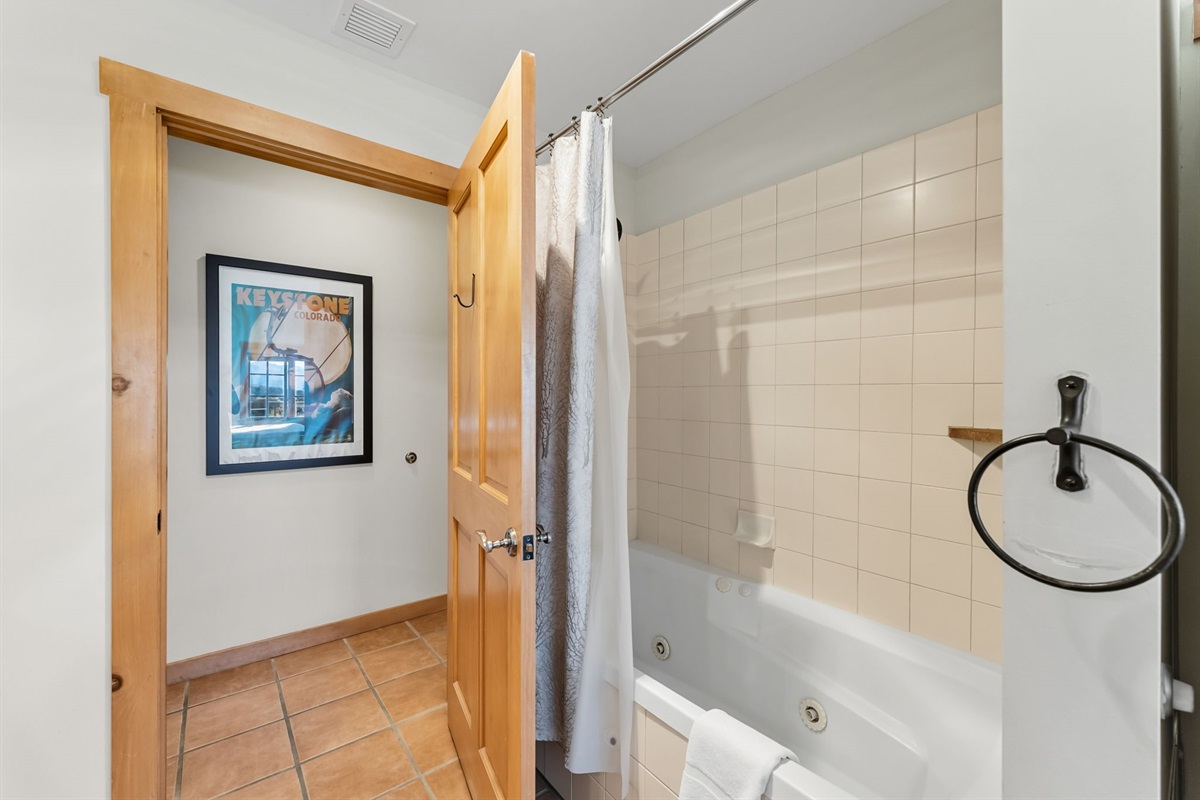 Master Bathroom 2, jetted tub