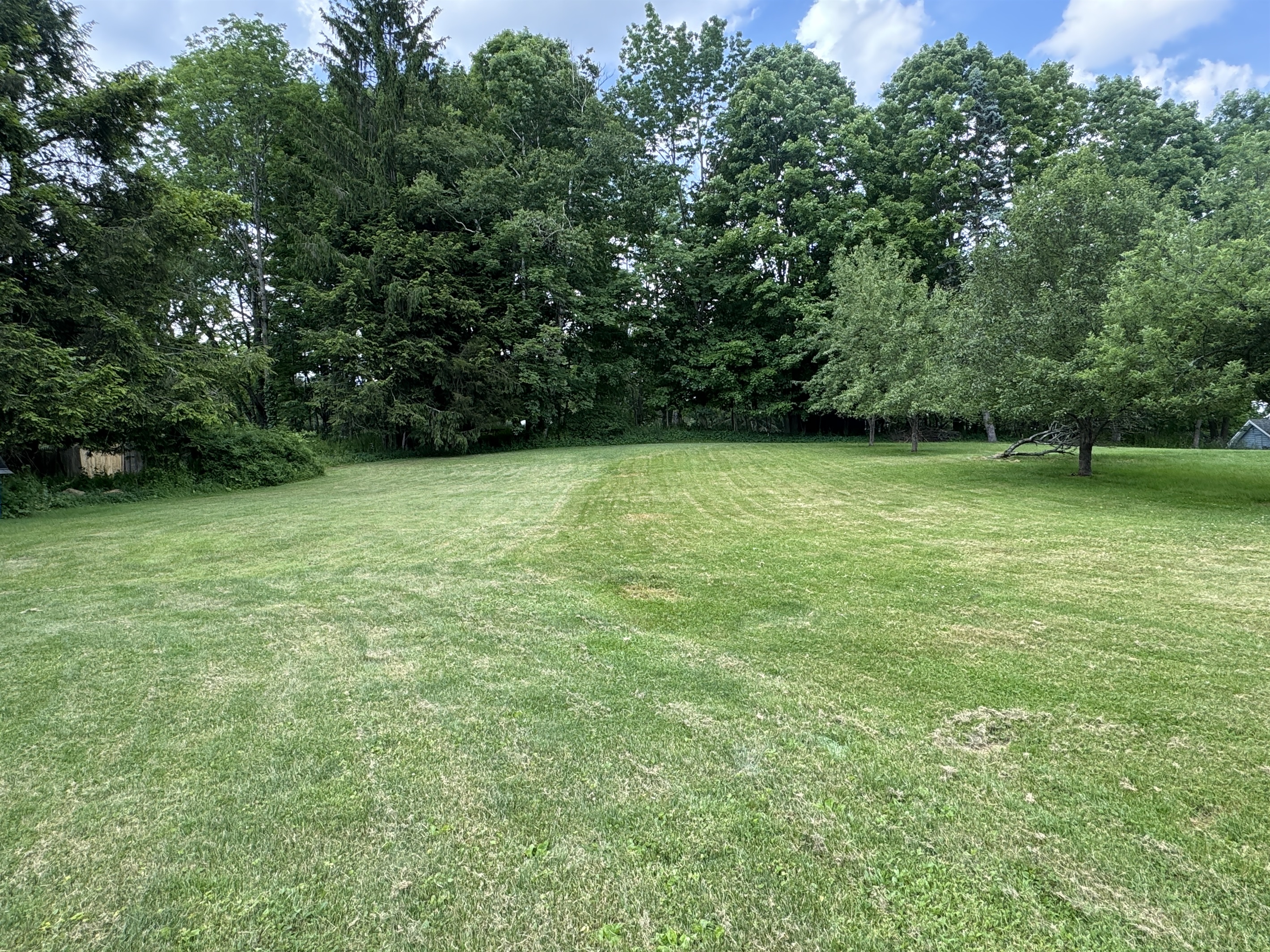 Super large and well maintained yard great for a game of baseball!