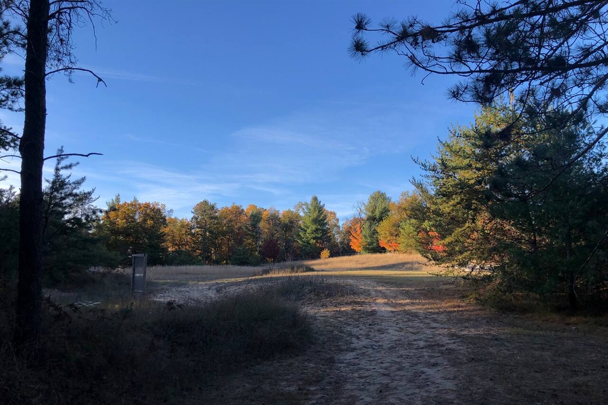 A look to the North West. Our property line is obvious with tall grass lining it. Plenty of deer and wildlife to enjoy.