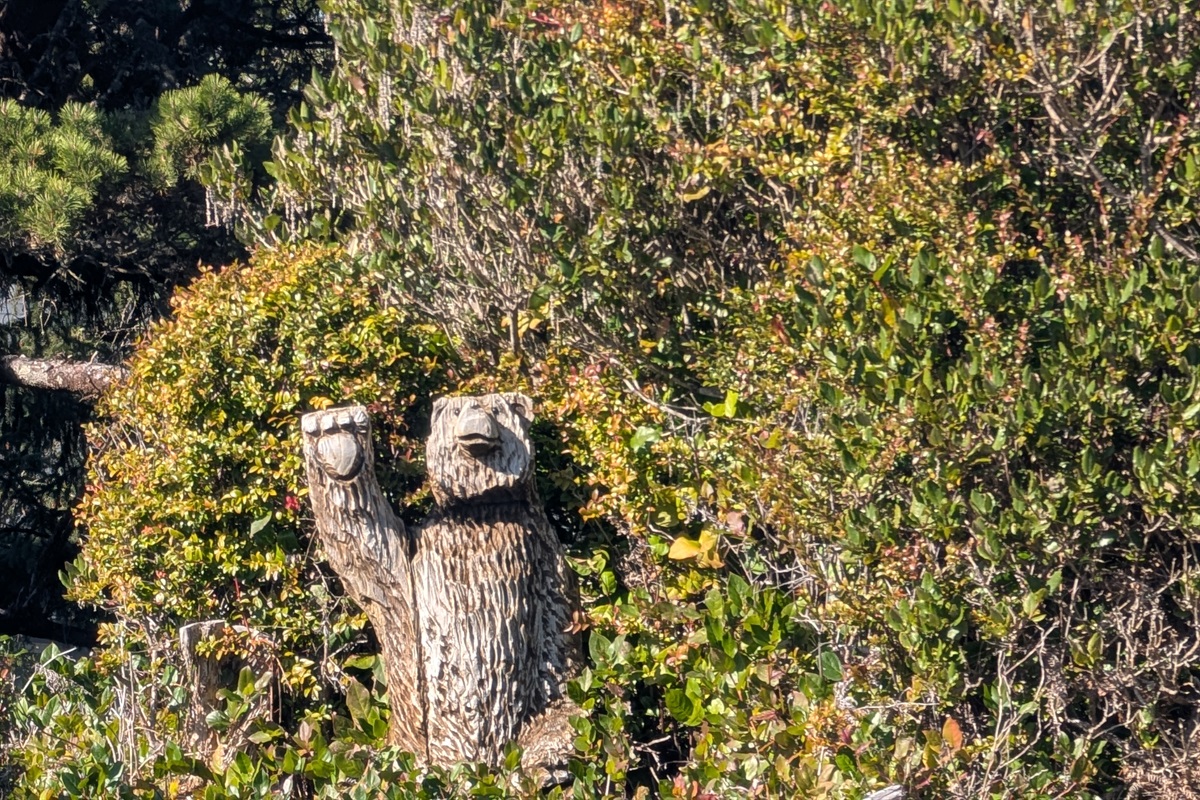 bear carving