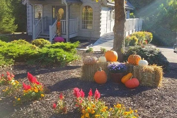 A charming on-site chapel provides a beautiful setting for intimate weddings, vow renewals, or special moments during your stay.