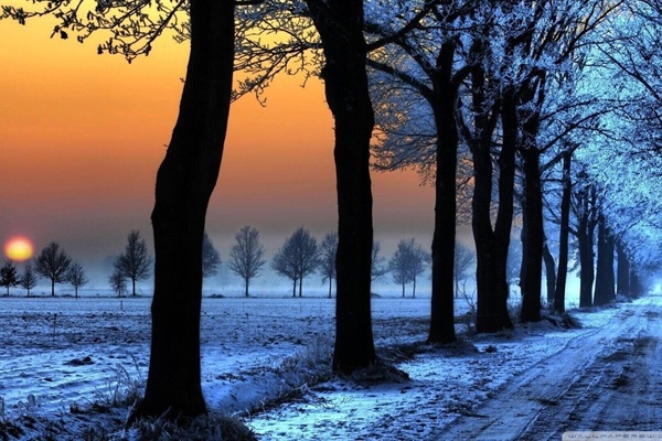 Winter wonderlands