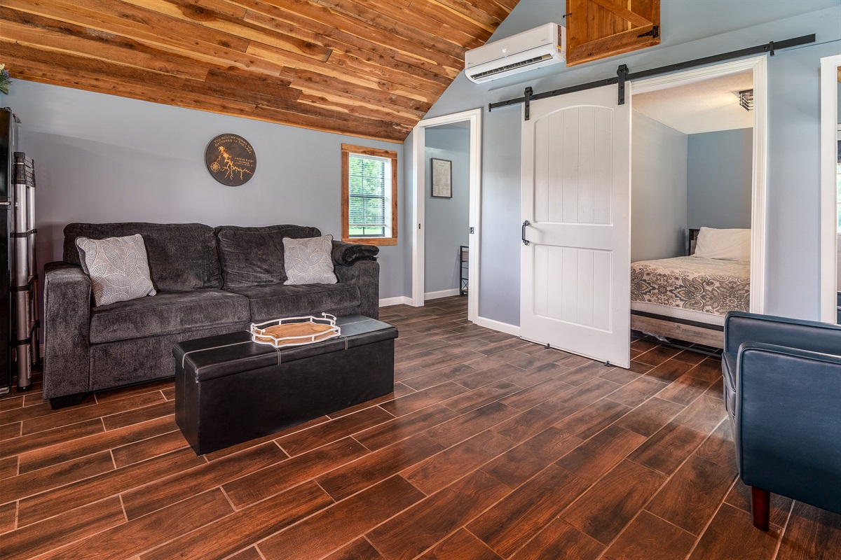 Sleeper sofa in living room