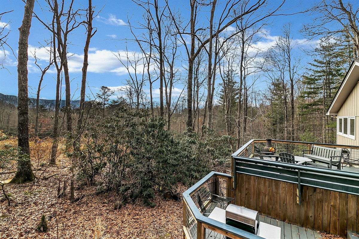 View from "treehouse"