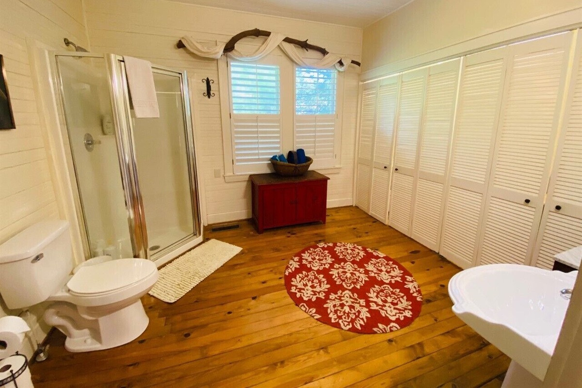 Ground floor bathroom