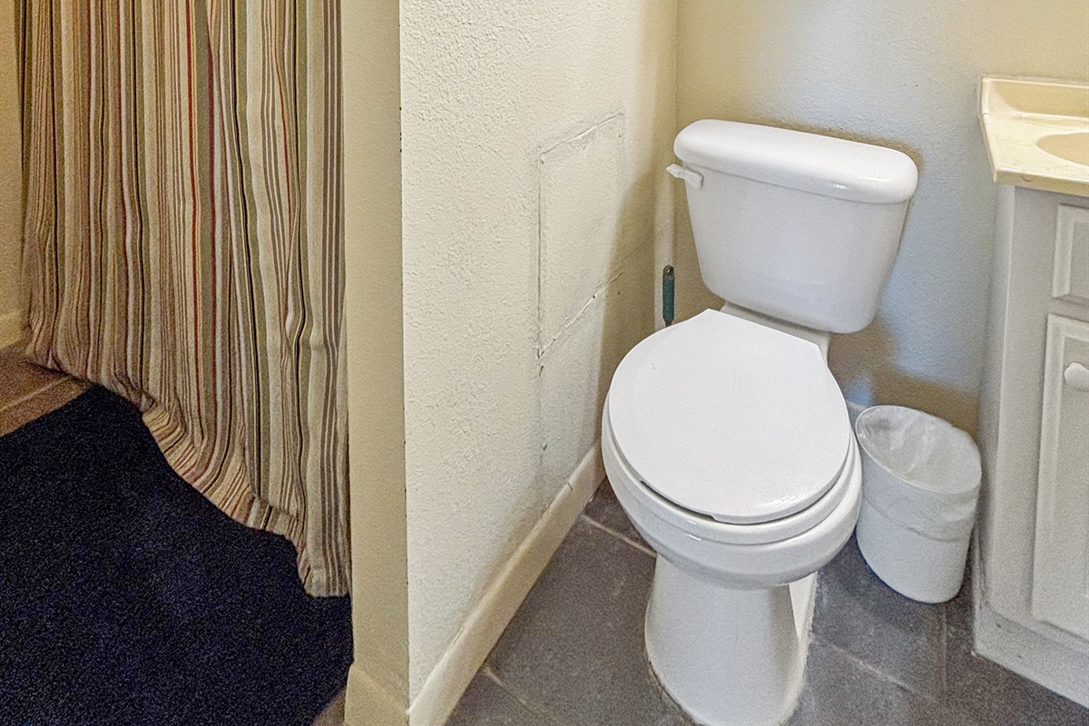 Master en suite bath