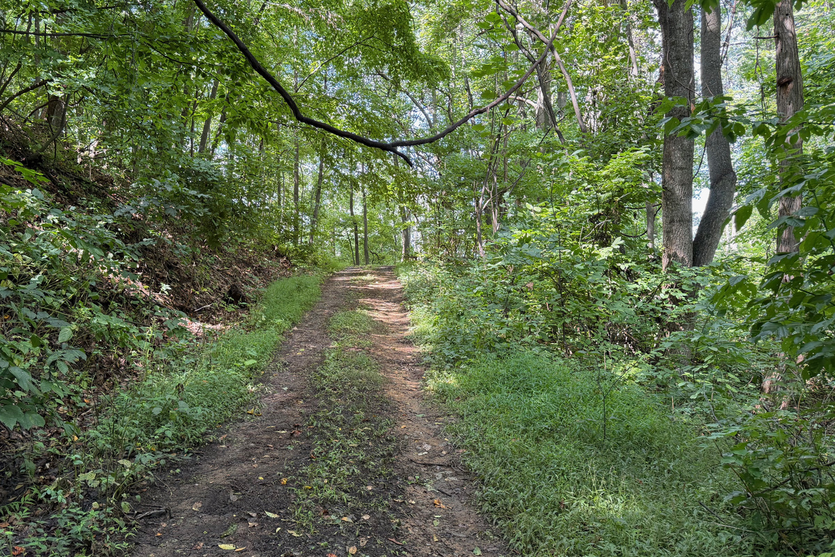 Numerous trails are on the 26 acre property, which you are free to use. We do have many wild animals to enjoy watching, but do take care and be safe. Read through the Guest Welcome Book about safety before you venture off.