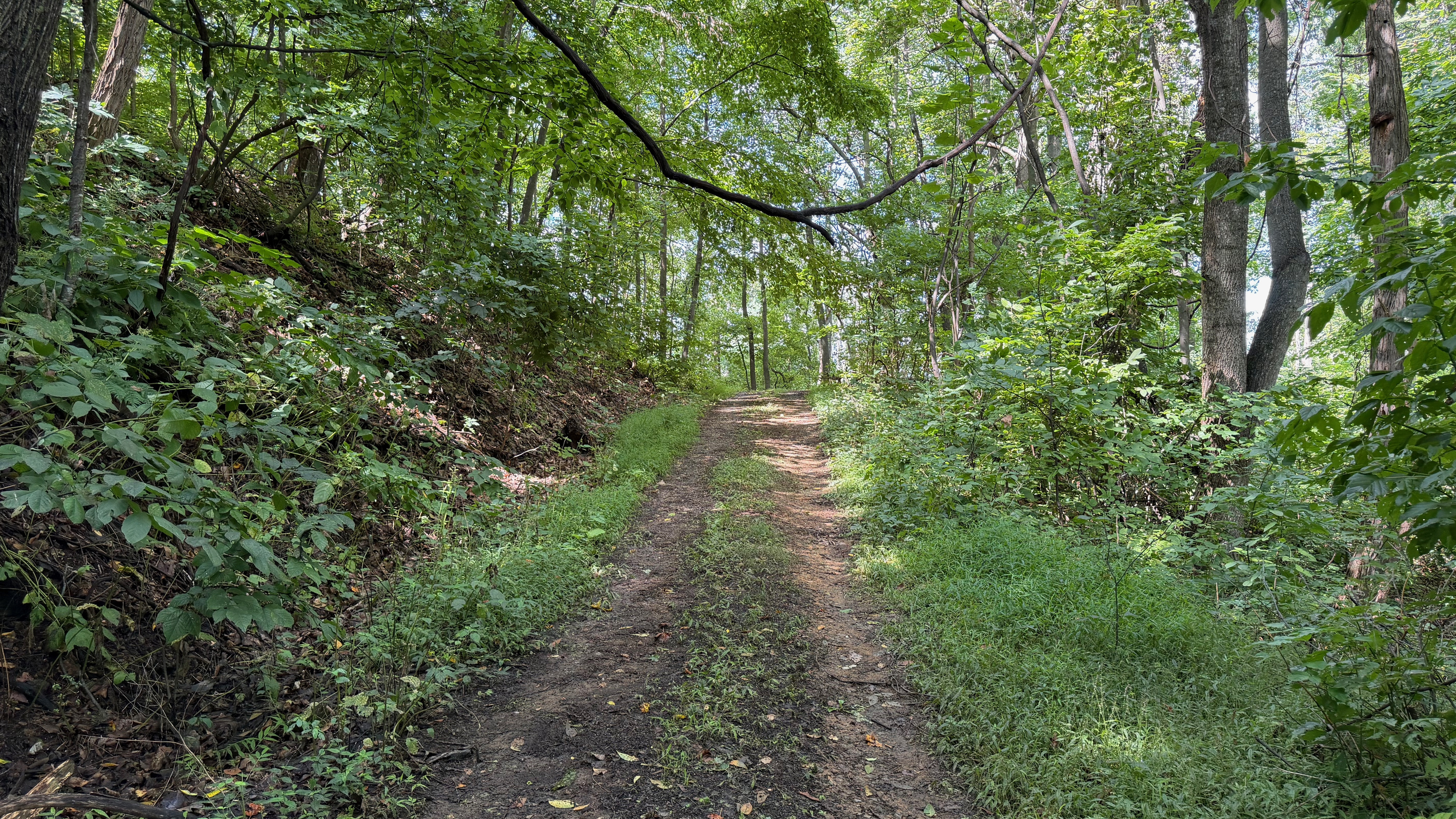 Numerous trails are on the 26 acre property, which you are free to use. We do have many wild animals to enjoy watching, but do take care and be safe. Read through the Guest Welcome Book about safety before you venture off.