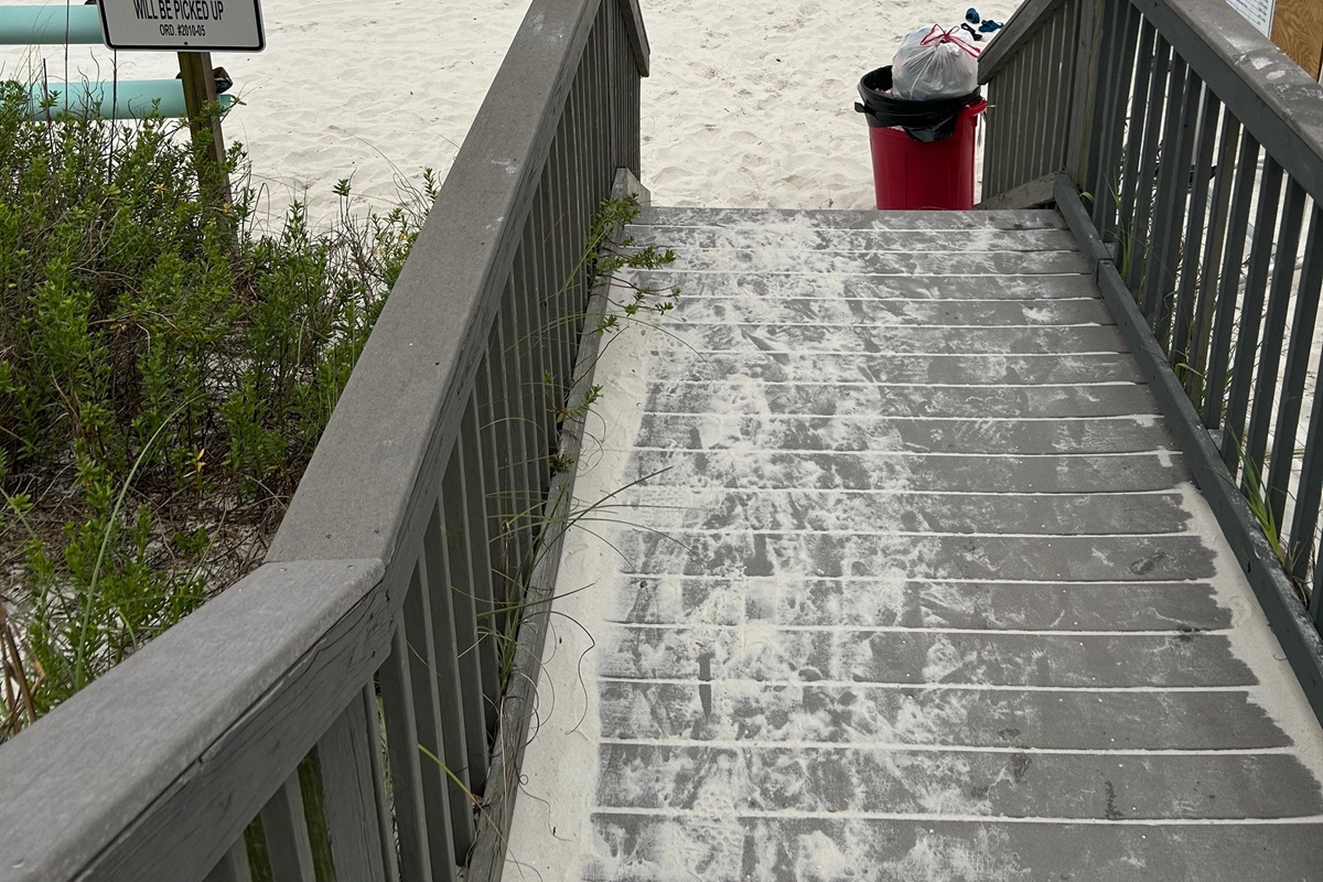 Guest Photo: Lori B., Jun 26, 2025