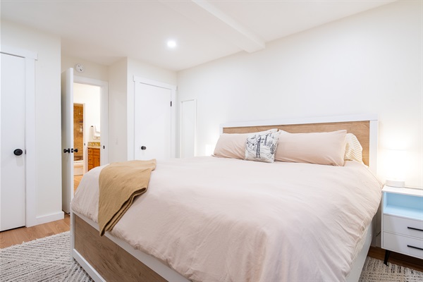 Main bedroom with king bed