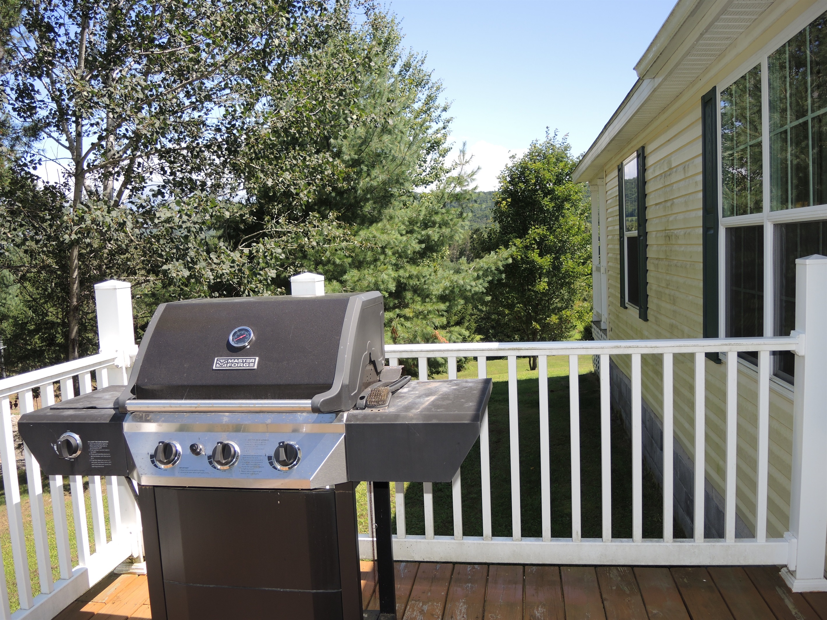 Rear deck with gas grill