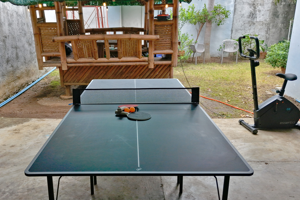 Ping Pong Table / Exercise Bike