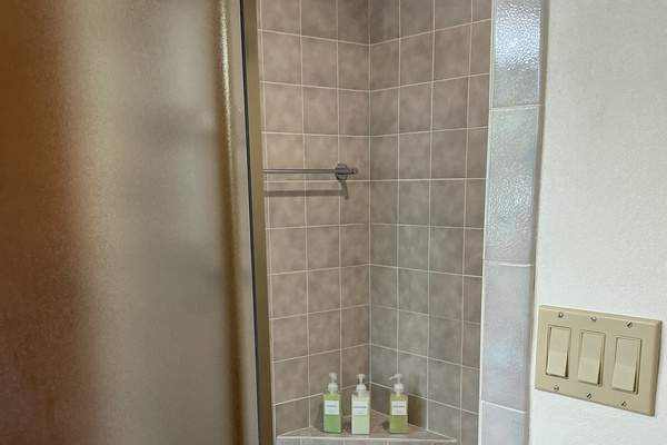Master bathroom - full large shower