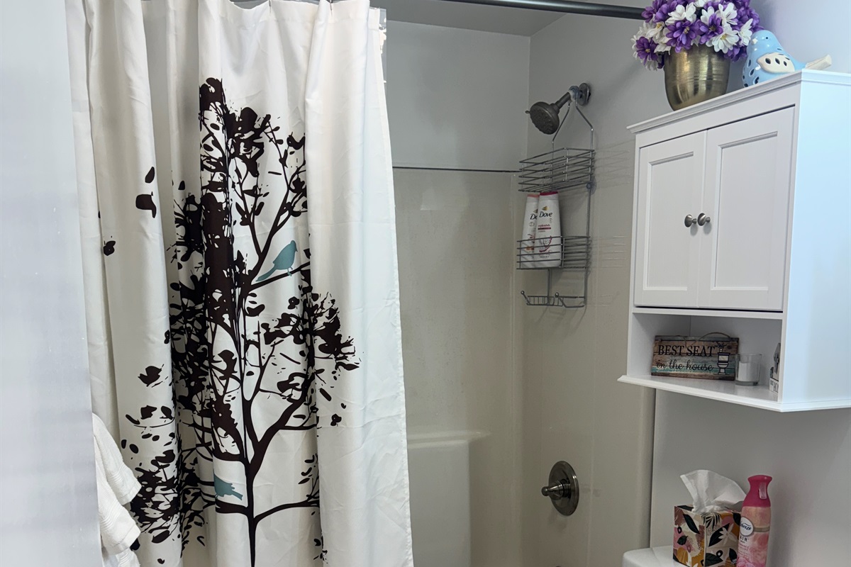 Lower level bath with tub/shower