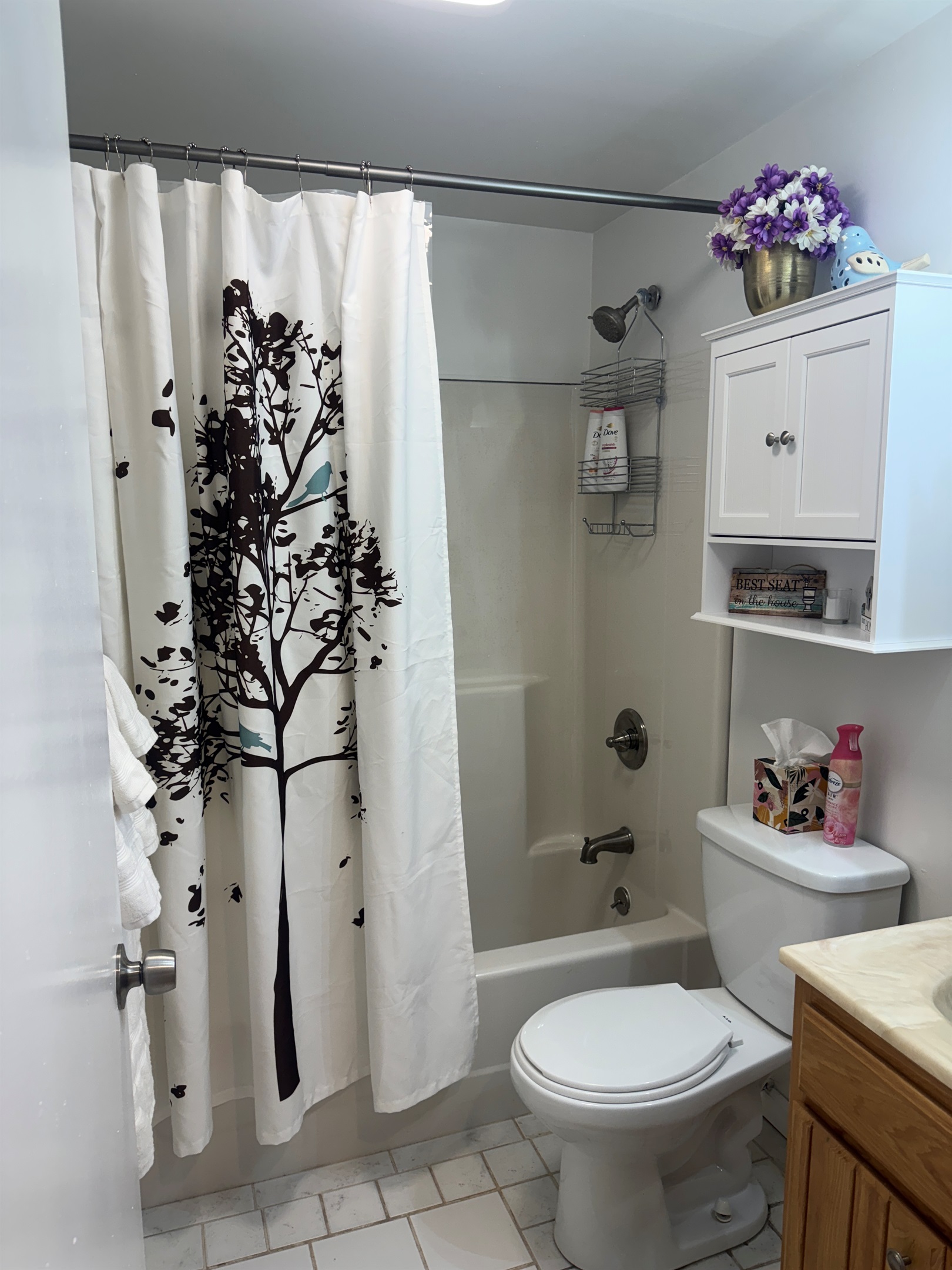 Lower level bath with tub/shower