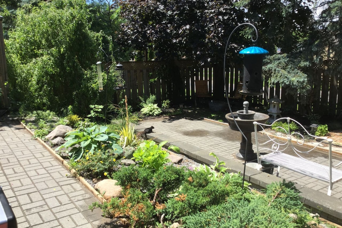 Lush gardens