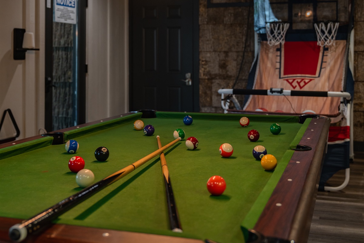 Plenty of entertainment for everyone.