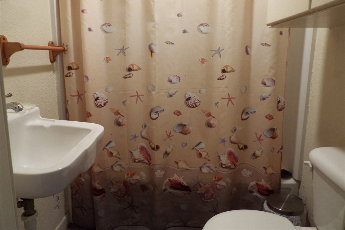 Guest bath with tub shower combo