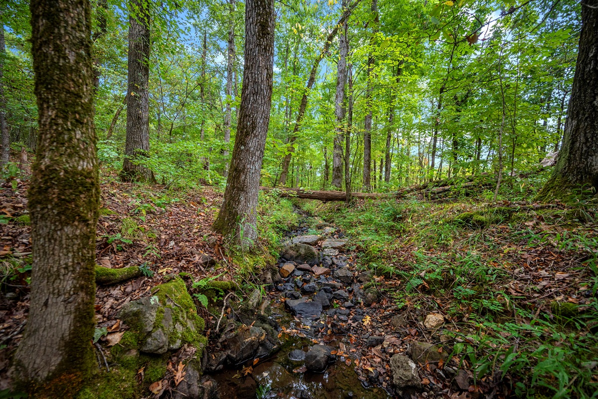 Creek