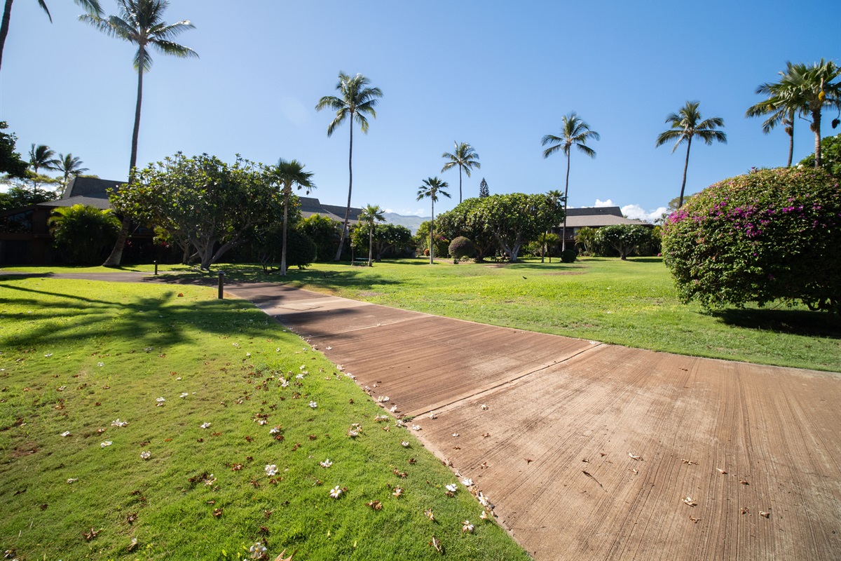 Koa Resort Pathway