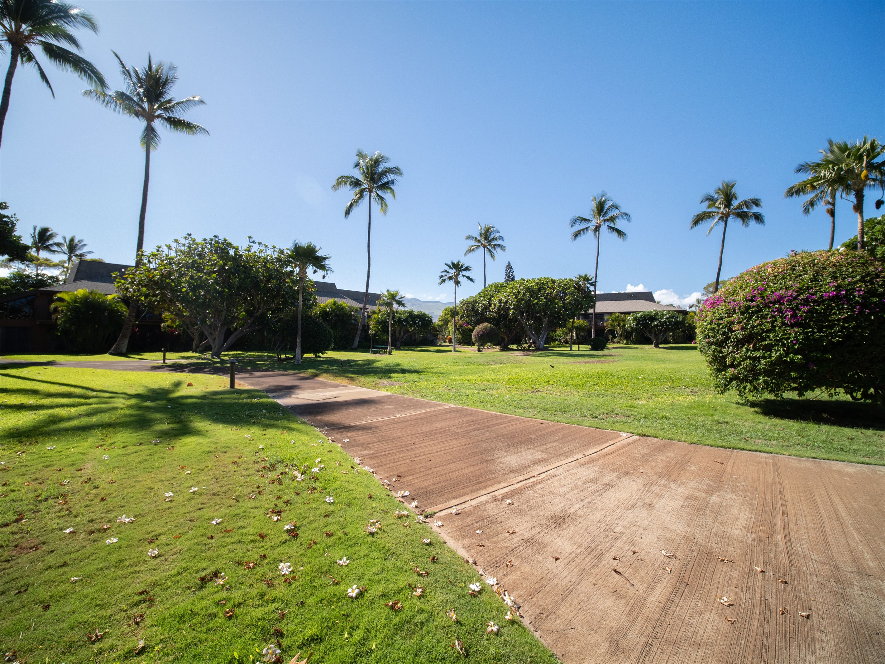 Koa Resort Pathway