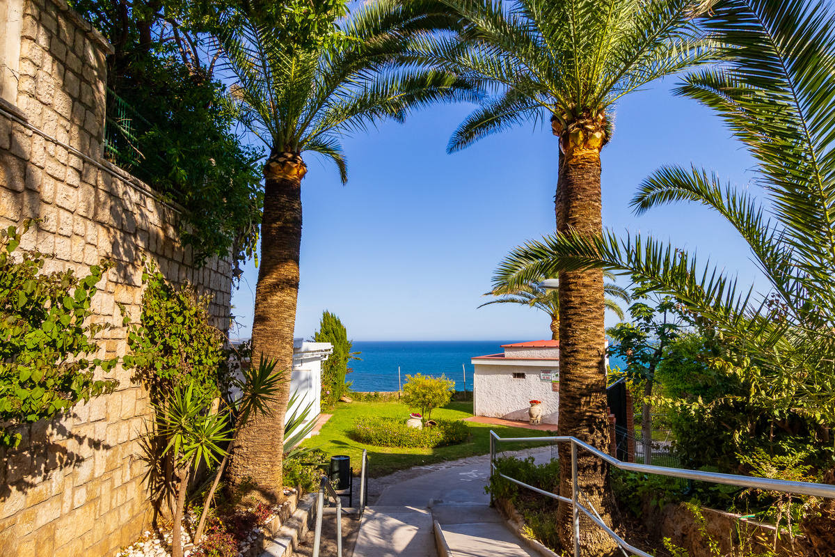 Palm-lined access path leading towards the sea