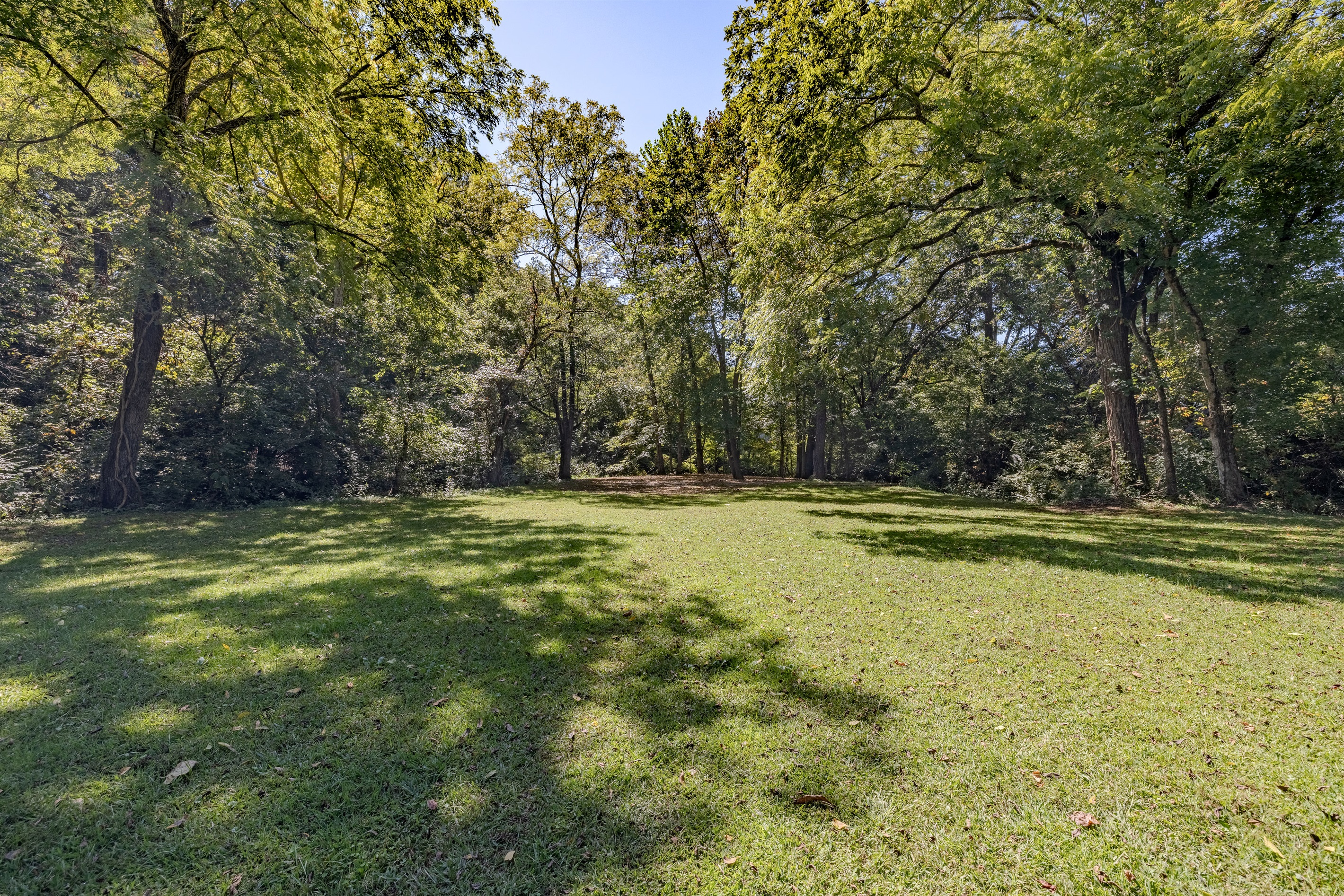 Room to breathe and wander. Step out of your tent and into this beautiful meadow bordered by mature trees—the ideal setting for an authentic and relaxing Tennessee getaway.