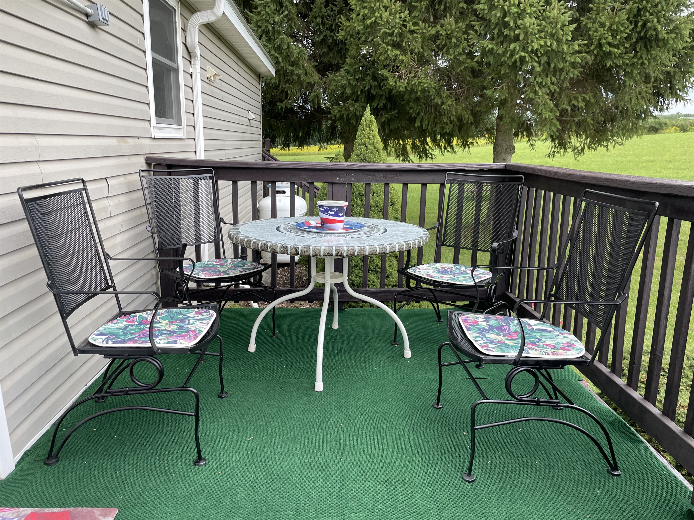 Rear deck with outside dining