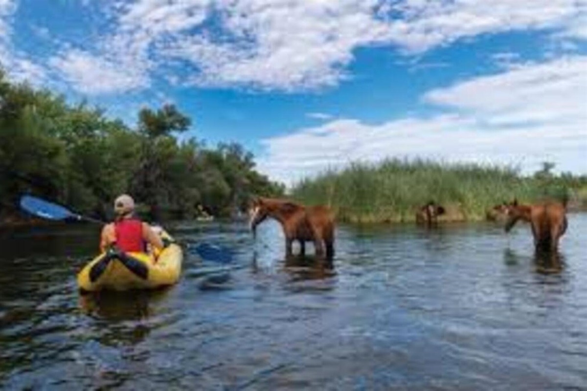 Paddle alongside wild horses in a once-in-a-lifetime desert river experience that brings the magic of Arizona to life.