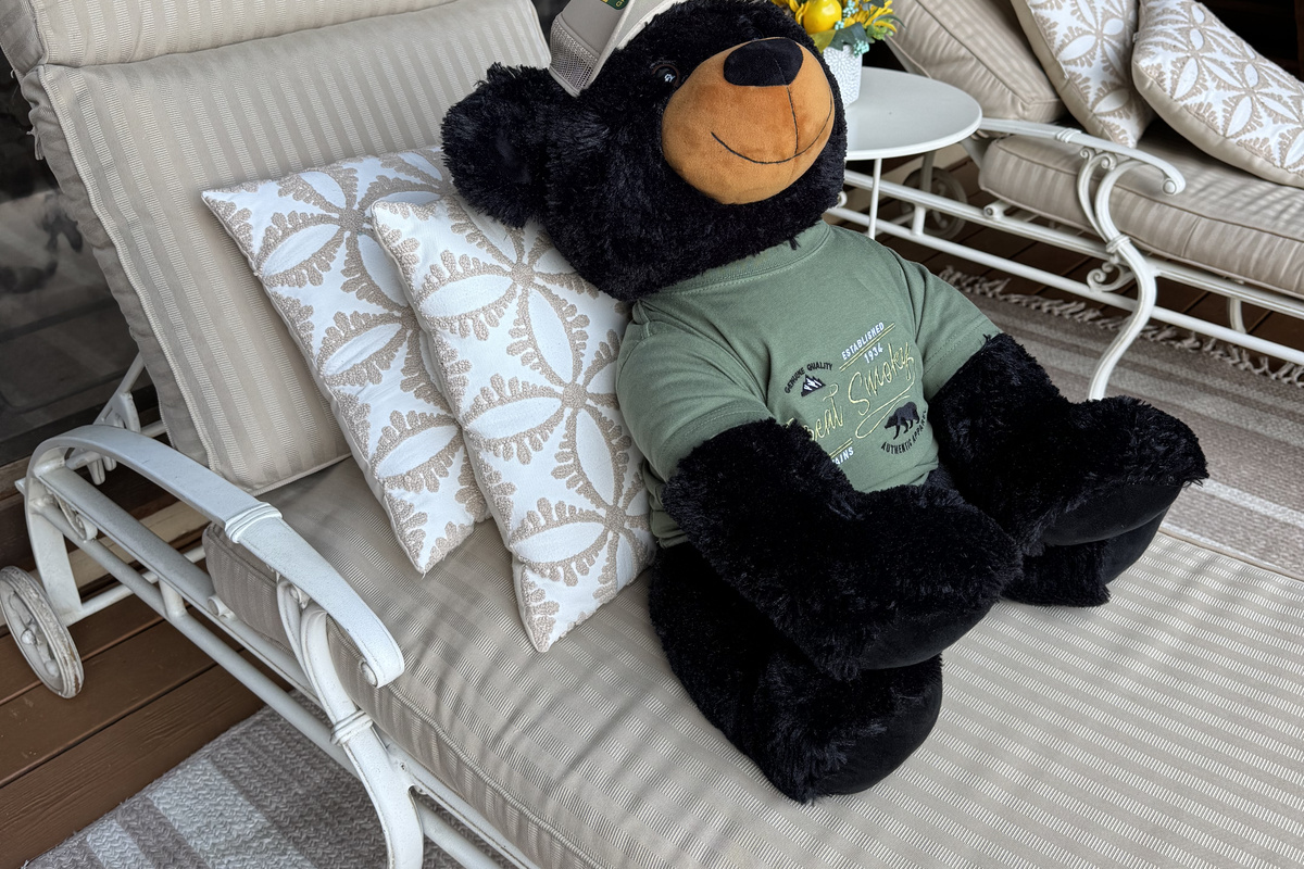 Your host Ridge Bear, soaking in the views.