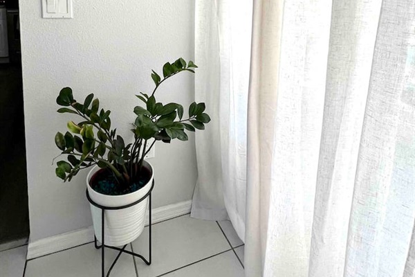 Real plants throughout the house 