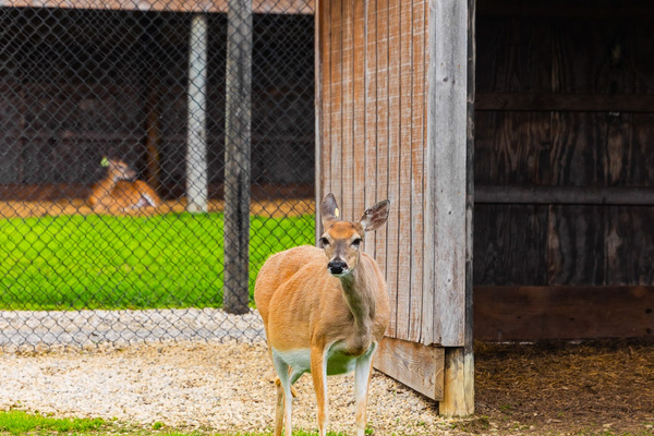 Double H Whitetails; Book a Tour