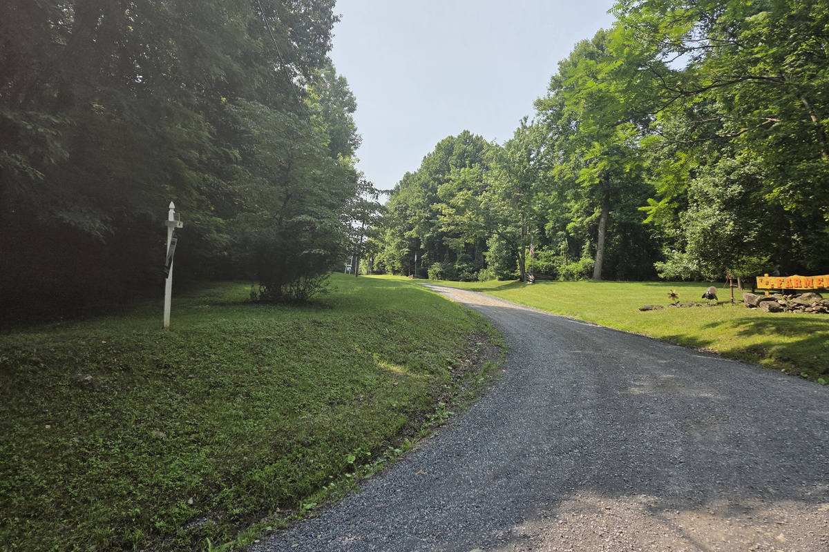 Cabin access road. Please note that the property is reached by a mountain gravel road with curves and varying grades.