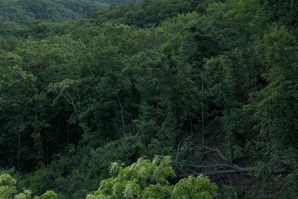 Views looking towards Gatlinburg from Above the Mist. You can see the snow at Ober during snow season! 