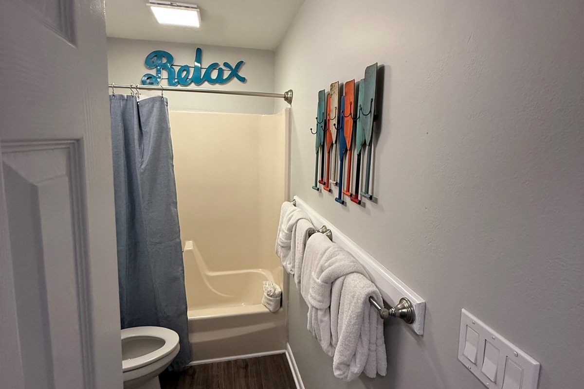 Fresh new shower curtain and potty too!