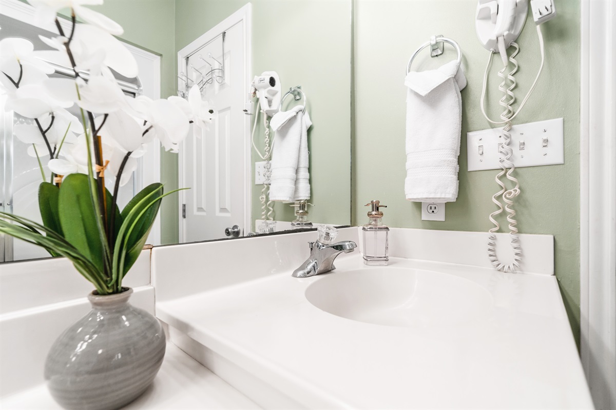 Our master bathroom, located on the 2nd floor, ensuite to the Master bedroom.