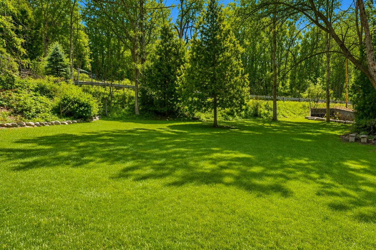 View of the back yard