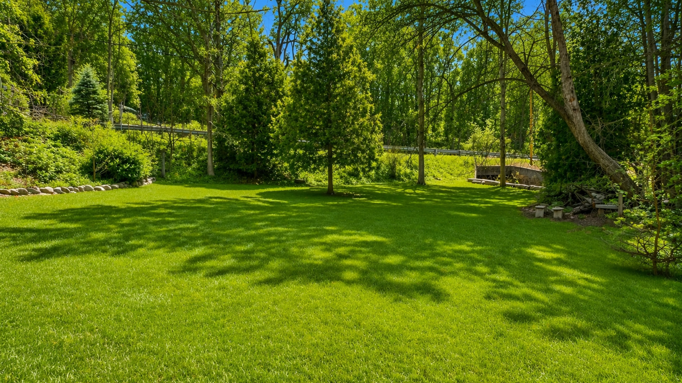 View of the back yard