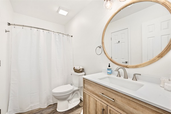 Bathroom 5- lower level