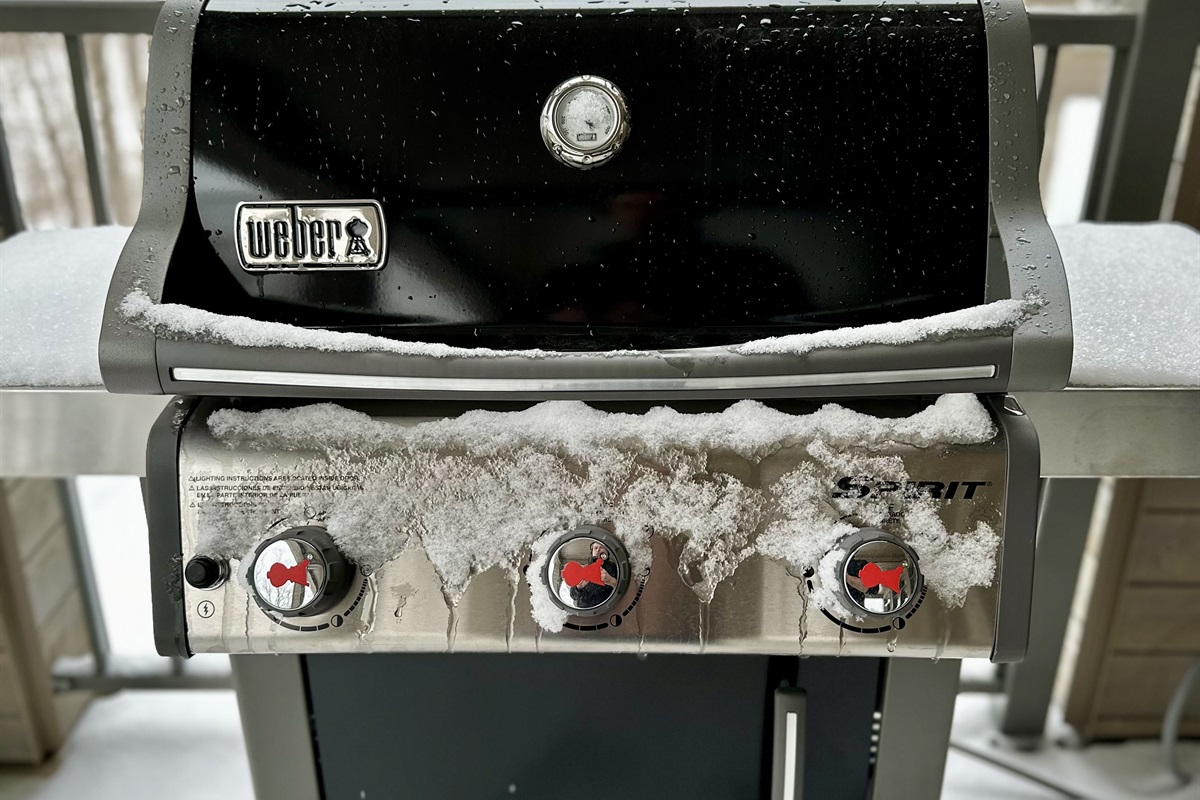 Webber spirit 310 BBQ