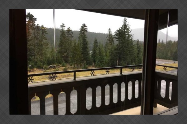 View from living room window.