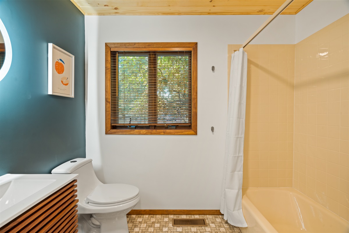 Guest bathroom and shower/tub combo