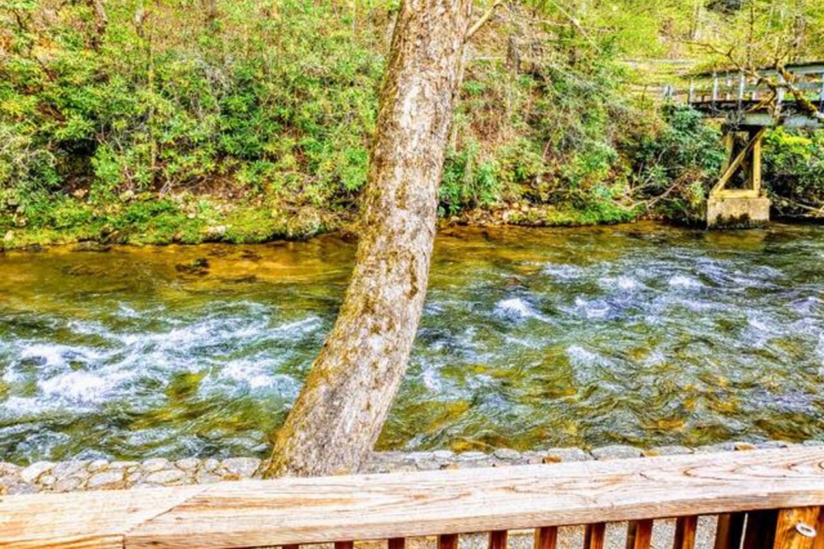 Deep Creek Lodge Apartment Sleeps 4! LIV! Stays